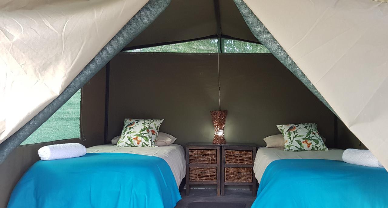 Kingfisher Bush Lodge Enkovukeni Buitenkant foto